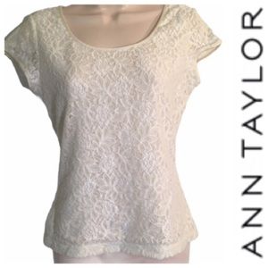 Anne Taylor lace short sleeve blouse cream size small